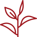 Premium Leaf Blends