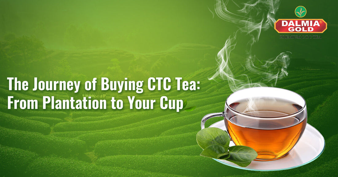 Ct Based Tea The Journey of Buying CTC Tea From Plantation to Your Cup